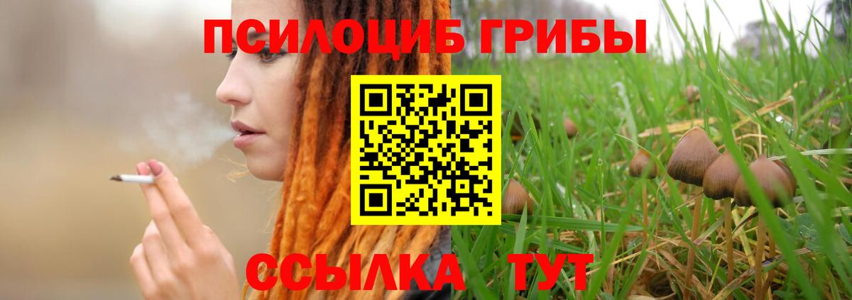 Галлюциногенные грибы прущие грибы  Вход с VPN  Нурлат 