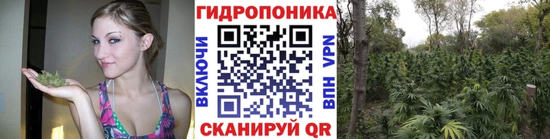 дарк нет как зайти  Нурлат  МАРИХУАНА конопля 